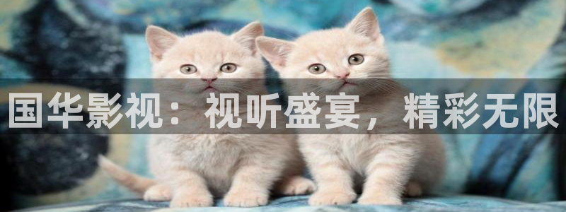 午夜羞羞爽爽影院免费观看